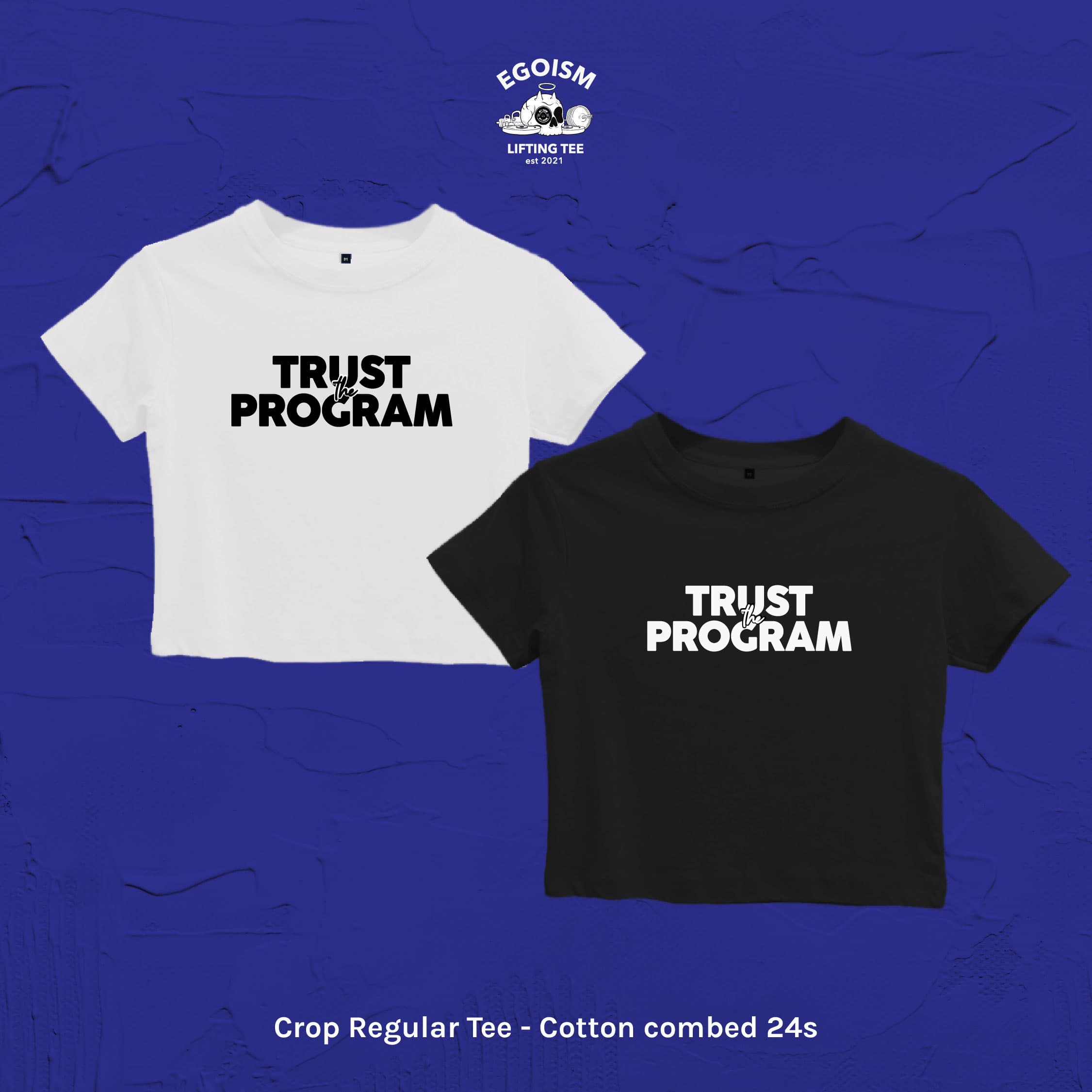 trust the program 2
